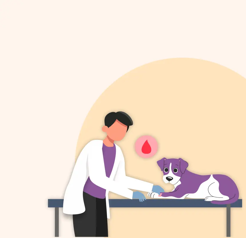 Pet Doctor
